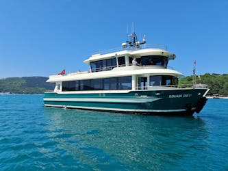 Boottocht op de Bosporus en de Zwarte Zee met lunch